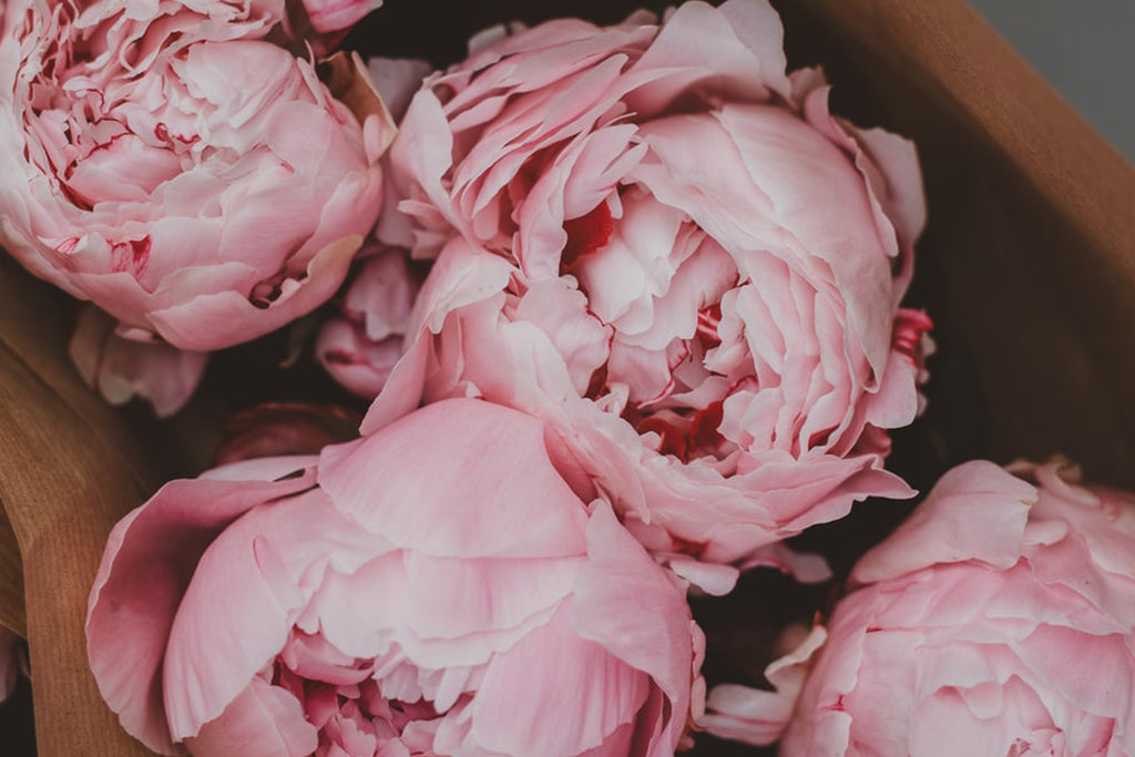 ember's INSIGHTS: Digital Fragrances
