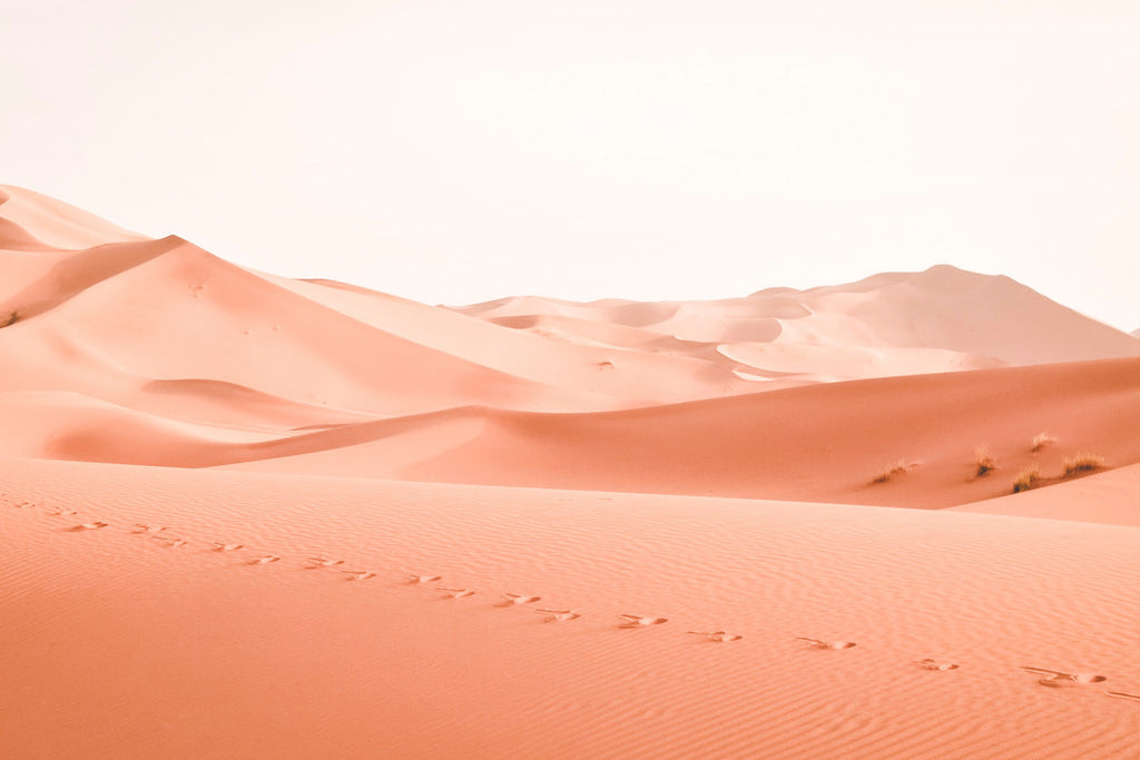 ember's INSIGHTS: Mars House